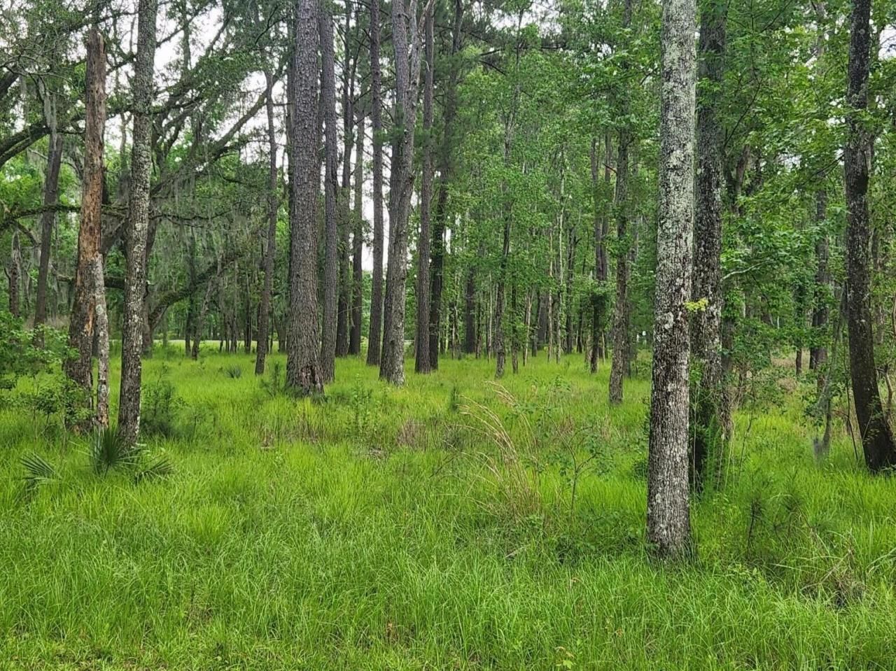 0 Bridal Path Boulevard Photo 9