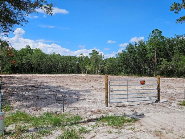 35391 OVERCUP DRIVE, WEBSTER, FL 33597