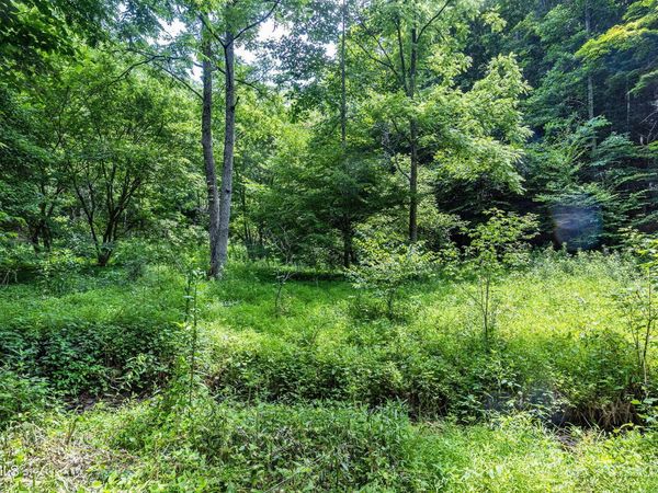 Lot 9 Lone Star Road, Bristol, VA 24202