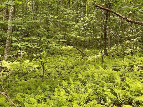 25 Rainbow Trout Drive, Tuckasegee, NC 28783