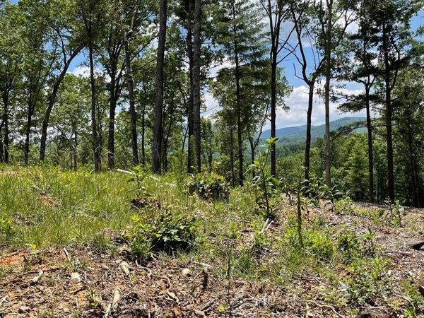 LOT 95 The Ridges, Morganton, GA 30560