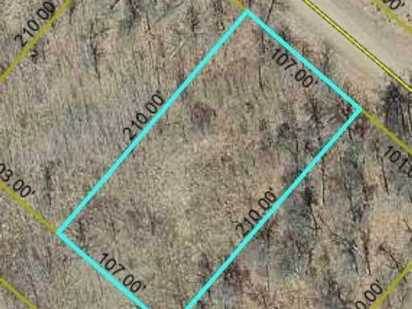 Lot 4 Tall Moon Drive, Danbury, WI 54830