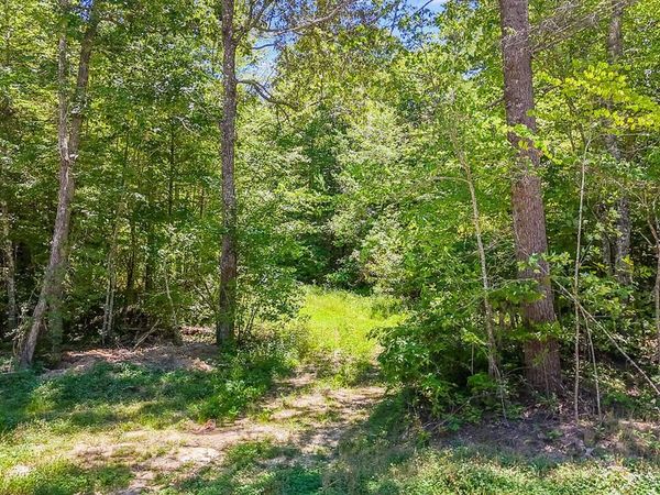 Twin Bridge Rd, Deer Lodge, TN 37726