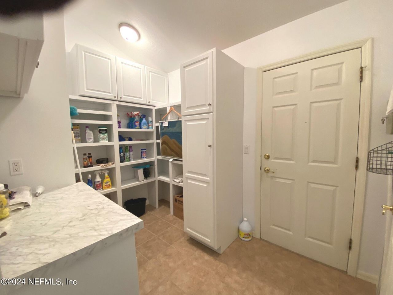 113 William Bartram Drive, Crescent City, FL 32112 Photo