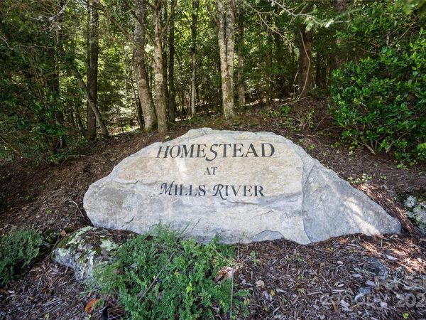 1018 Mills River Way, Horse Shoe, NC 28742