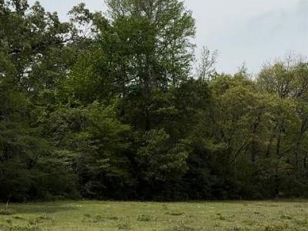 TBD 004 County Road 242, Oakwood, TX 75855