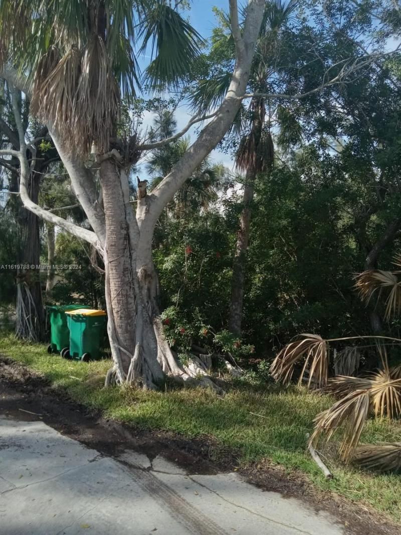215 Glenholm Ave, Punta Gorda, FL 33950 Photo