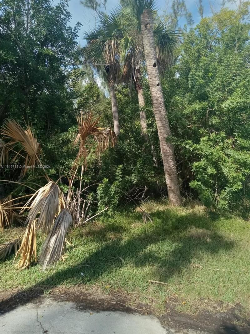 215 Glenholm Ave, Punta Gorda, FL 33950 Photo