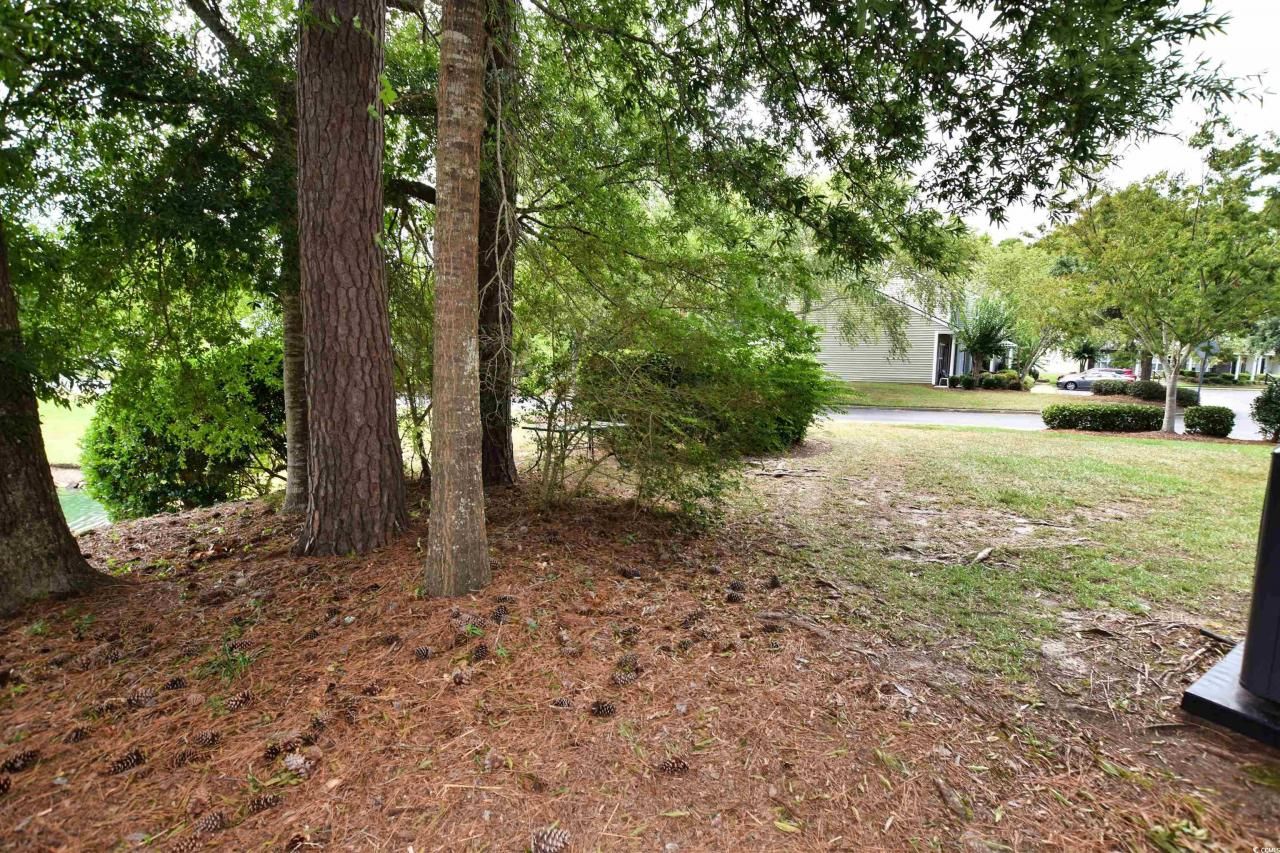 1065 Pinwheel Loop Photo 22