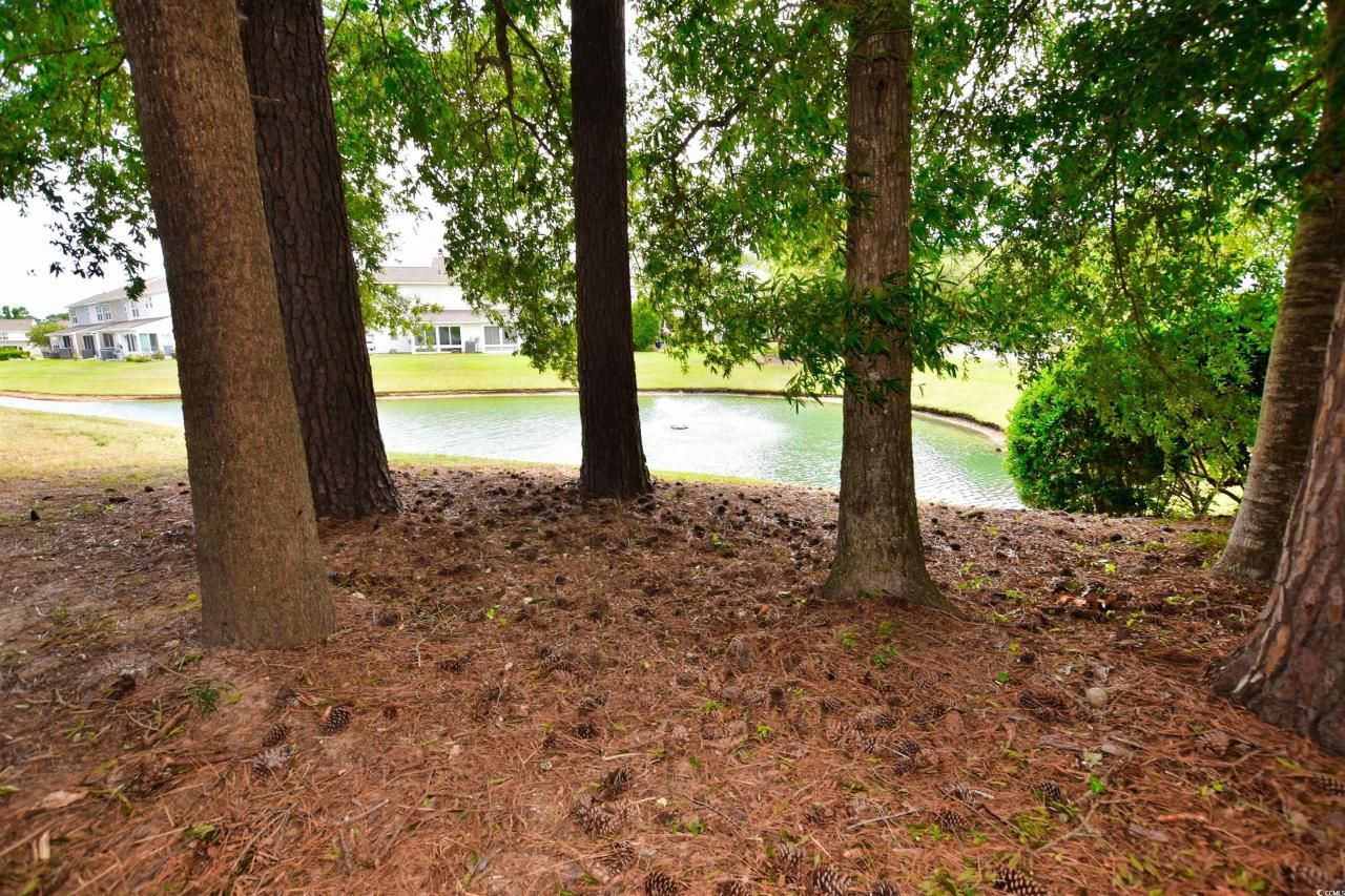 1065 Pinwheel Loop Photo 23