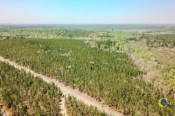 5659 Mt Pisgah Rd photo 4