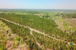 5659 Mt Pisgah Rd photo 4