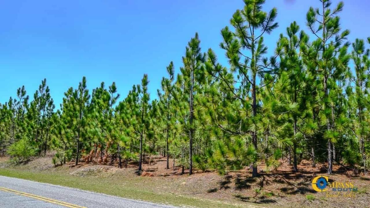 5659 Mt Pisgah Rd Photo 4