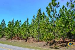 5659 Mt Pisgah Rd photo 4