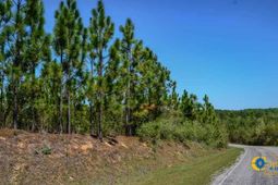 5659 Mt Pisgah Rd photo 4