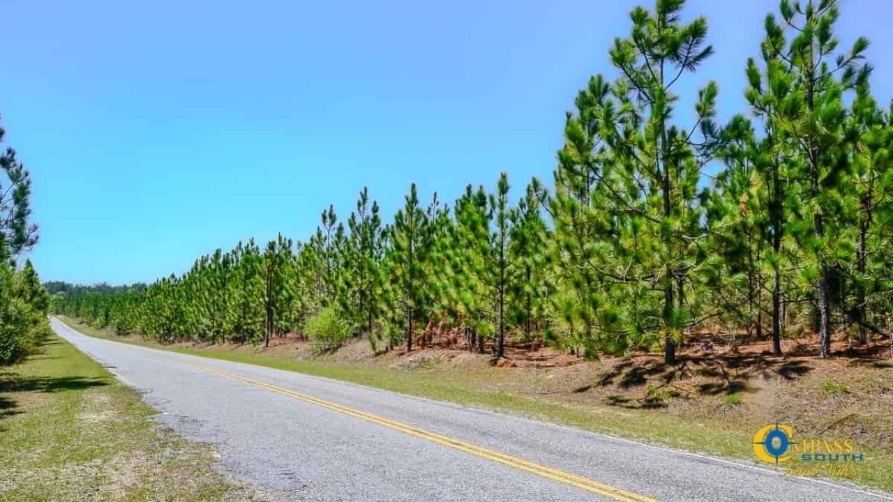 5659 Mt Pisgah Rd Photo 6