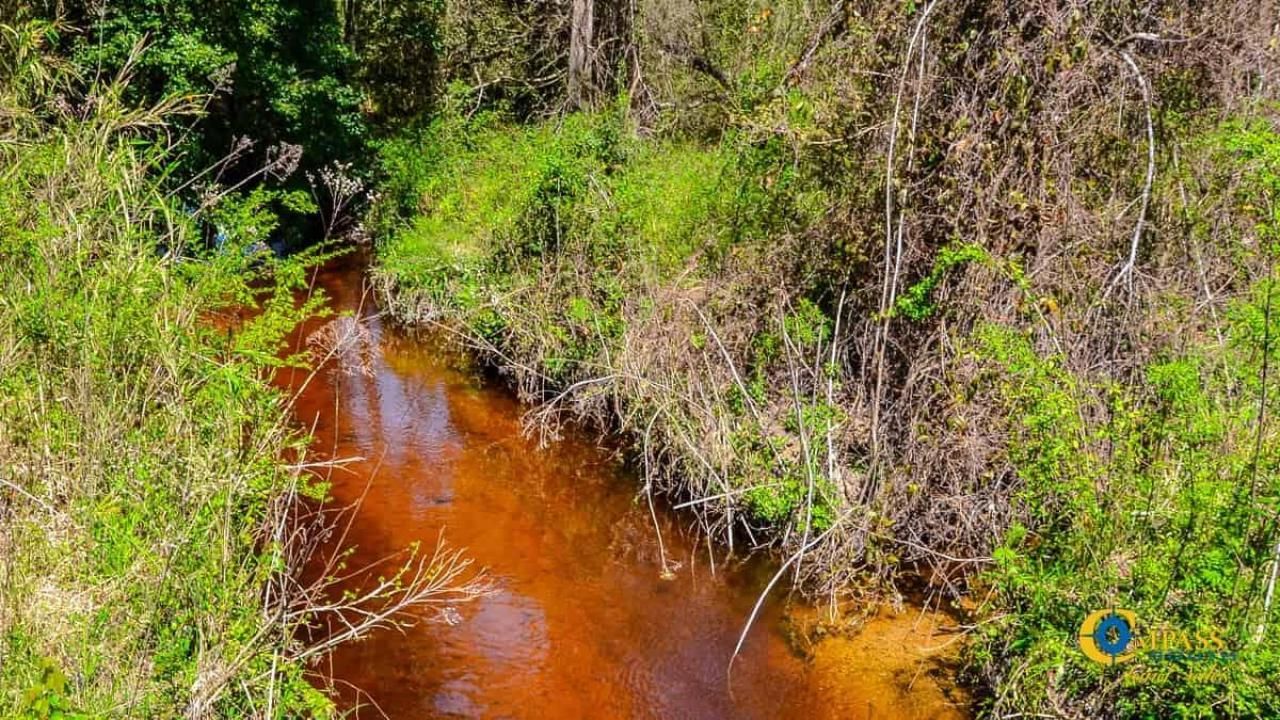 5659 Mt Pisgah Rd Photo 9