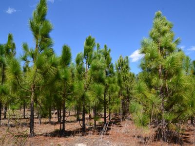 5659 State Rd S-28-31, Jefferson, SC 29718