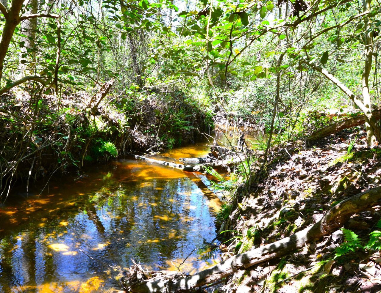 5659 State Rd S-28-31 Photo 10