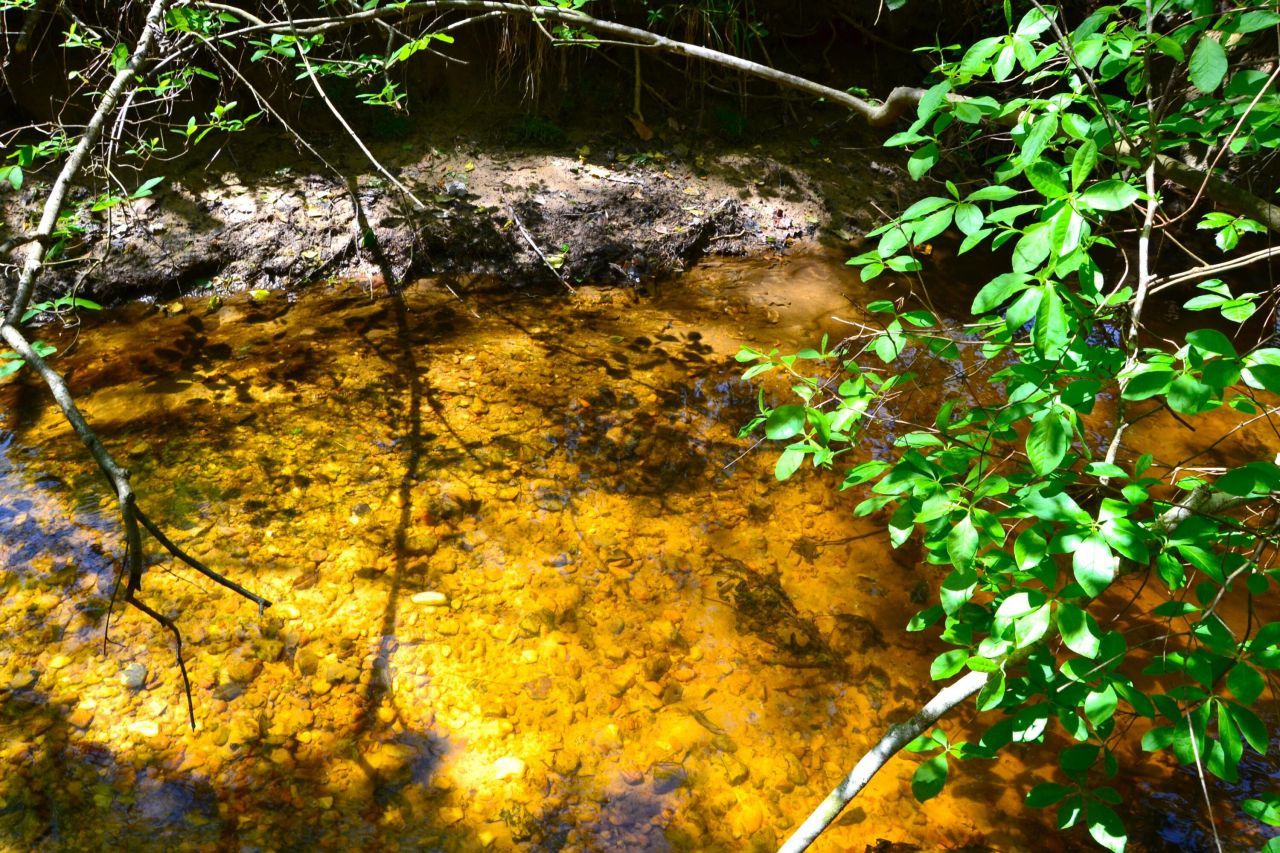 5659 State Rd S-28-31 Photo 11