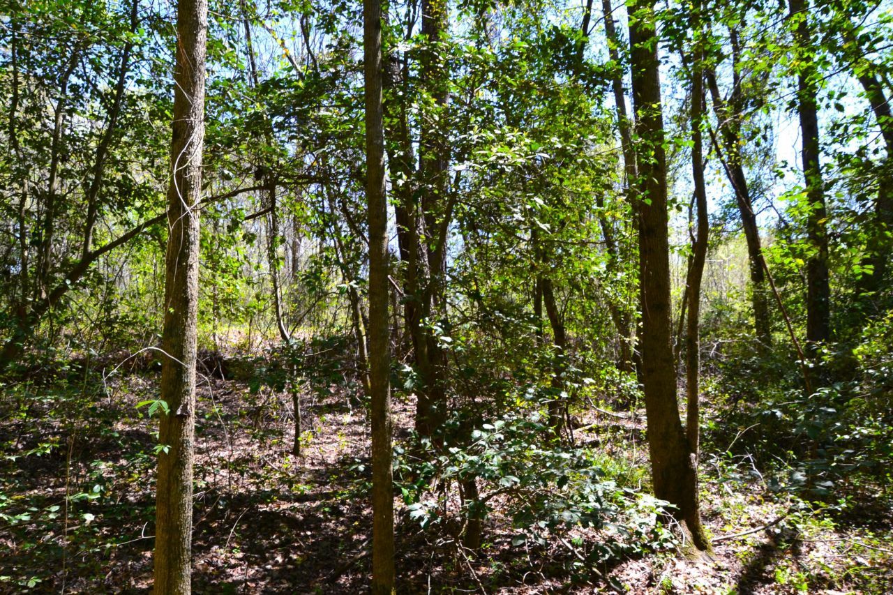 5659 State Rd S-28-31 Photo 12