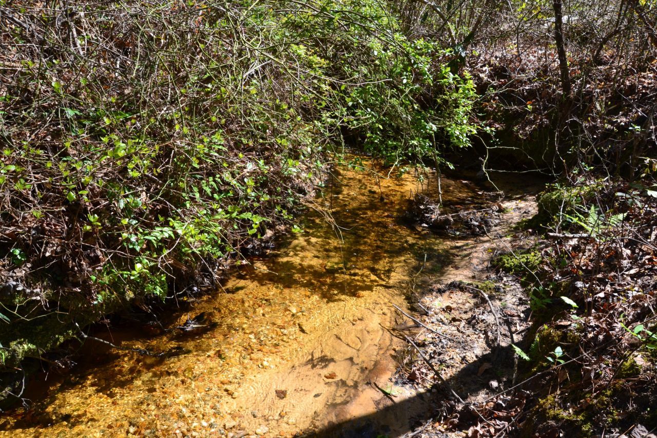 5659 State Rd S-28-31 Photo 13