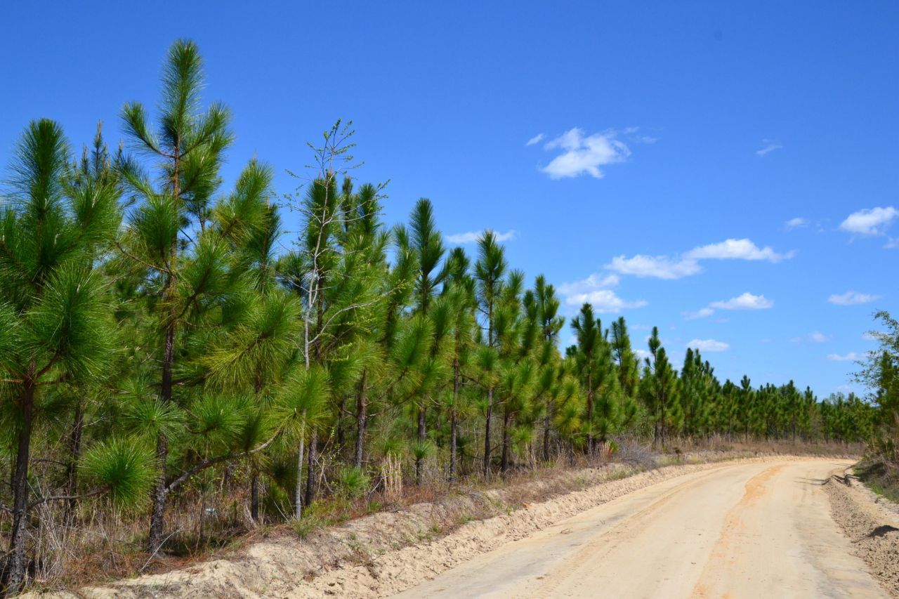 5659 State Rd S-28-31 Photo 16