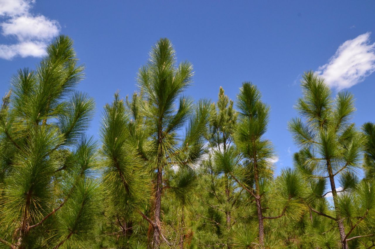 5659 State Rd S-28-31 Photo 17