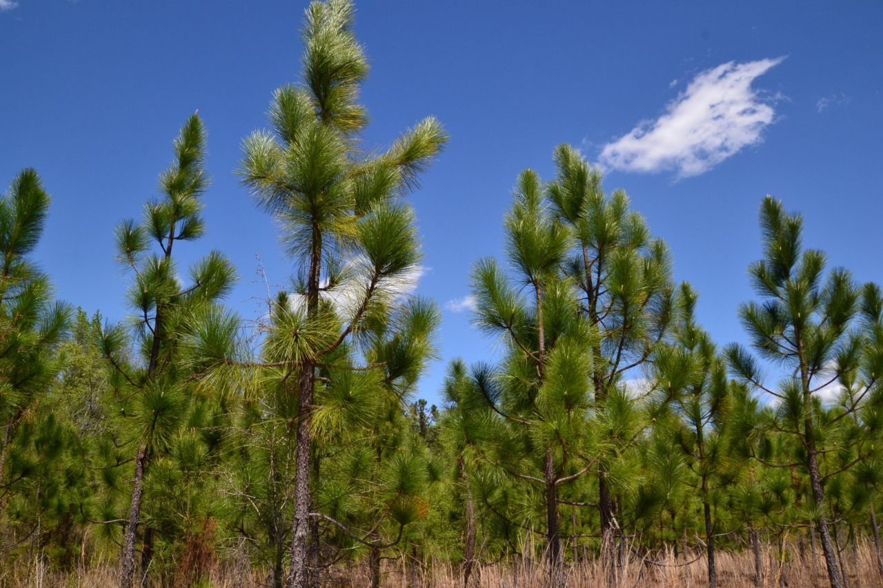 5659 State Rd S-28-31 Photo 18