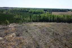 5659 State Rd S-28-31 photo 4