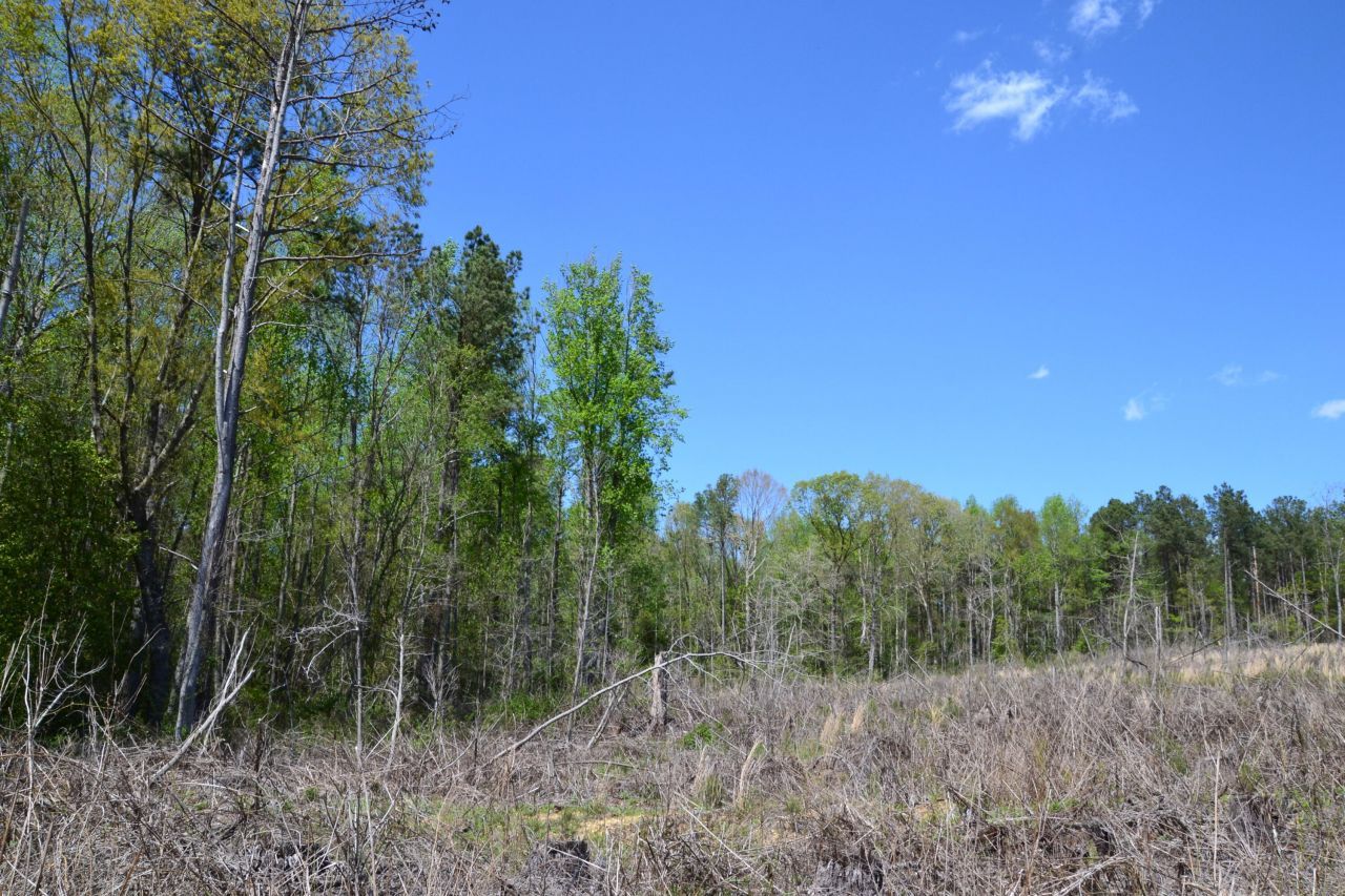 5659 State Rd S-28-31 Photo 20