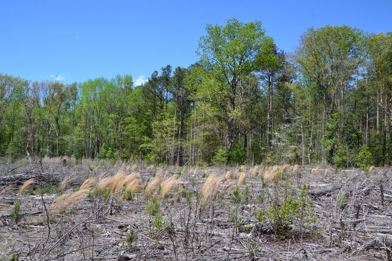 5659 State Rd S-28-31 Photo 21