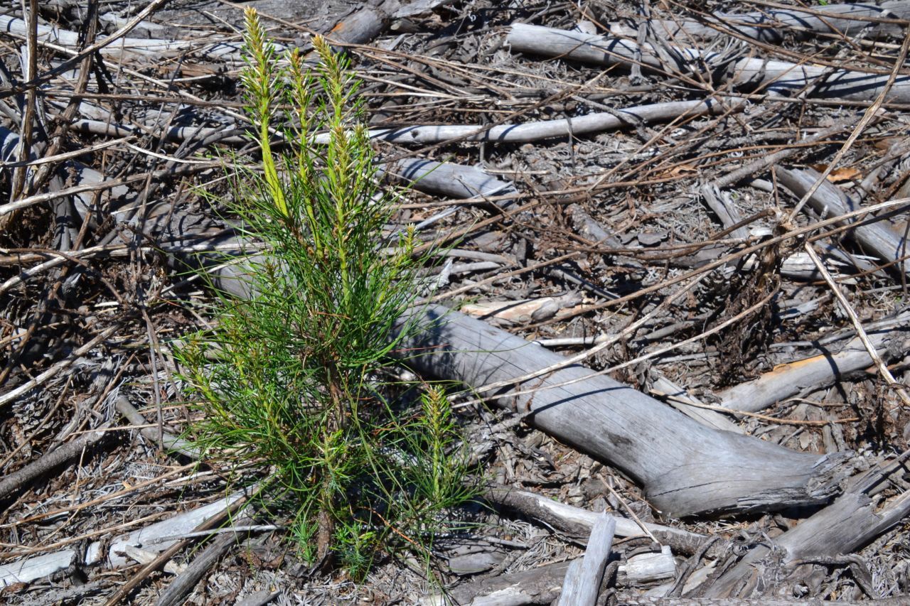 5659 State Rd S-28-31 Photo 22