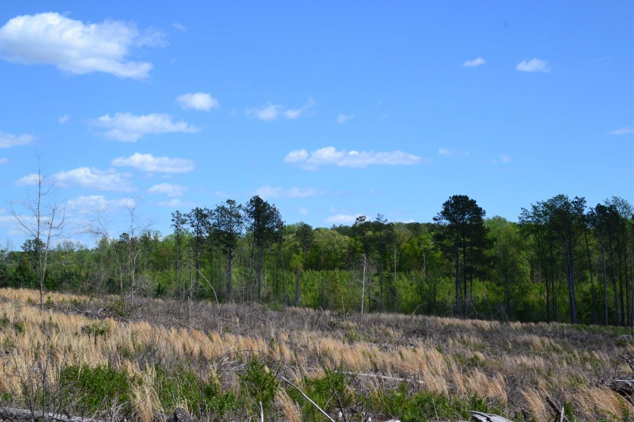 5659 State Rd S-28-31 Photo 23