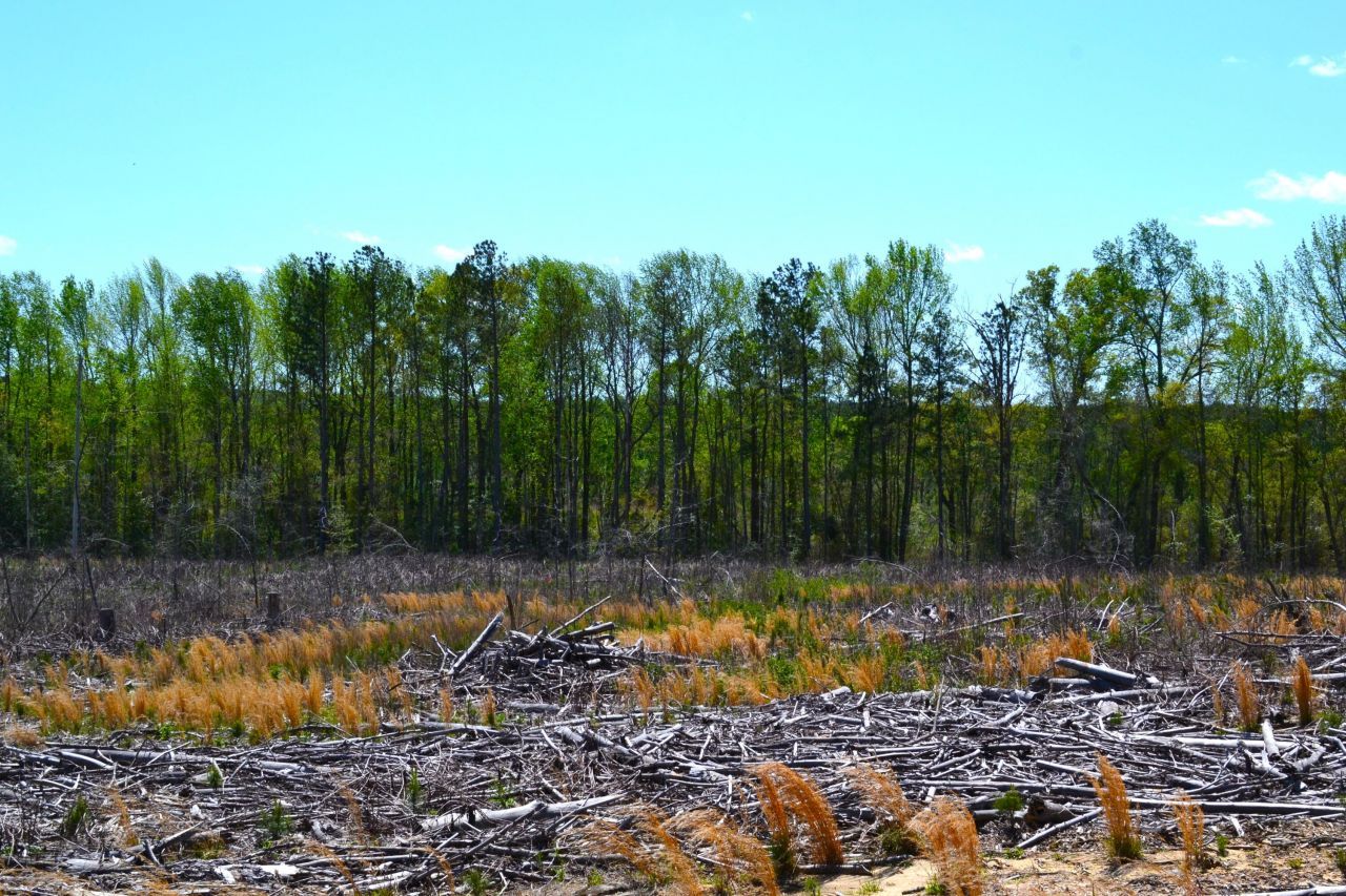 5659 State Rd S-28-31 Photo 24