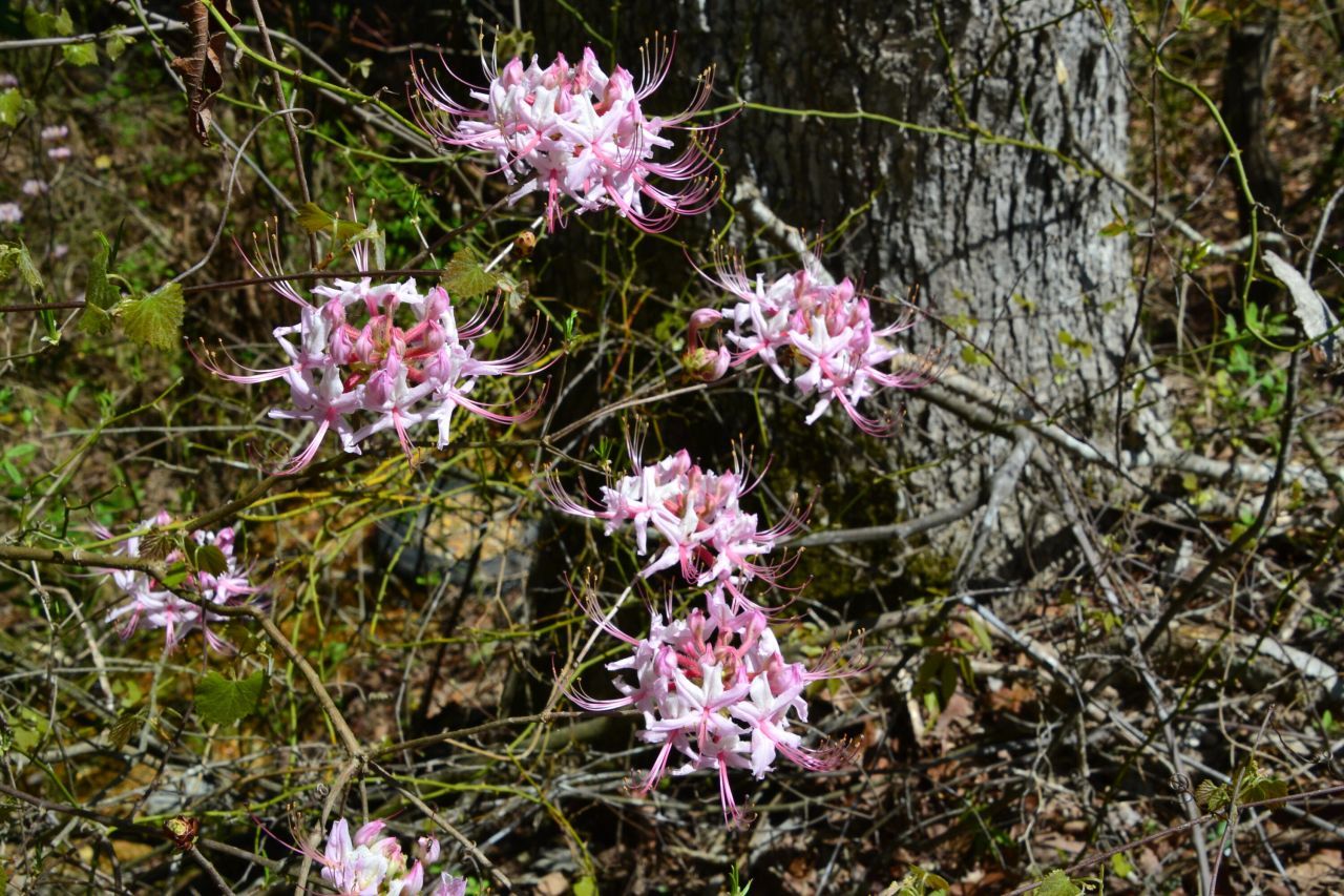 5659 State Rd S-28-31 Photo 25