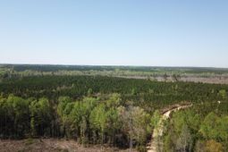 5659 State Rd S-28-31 photo 4