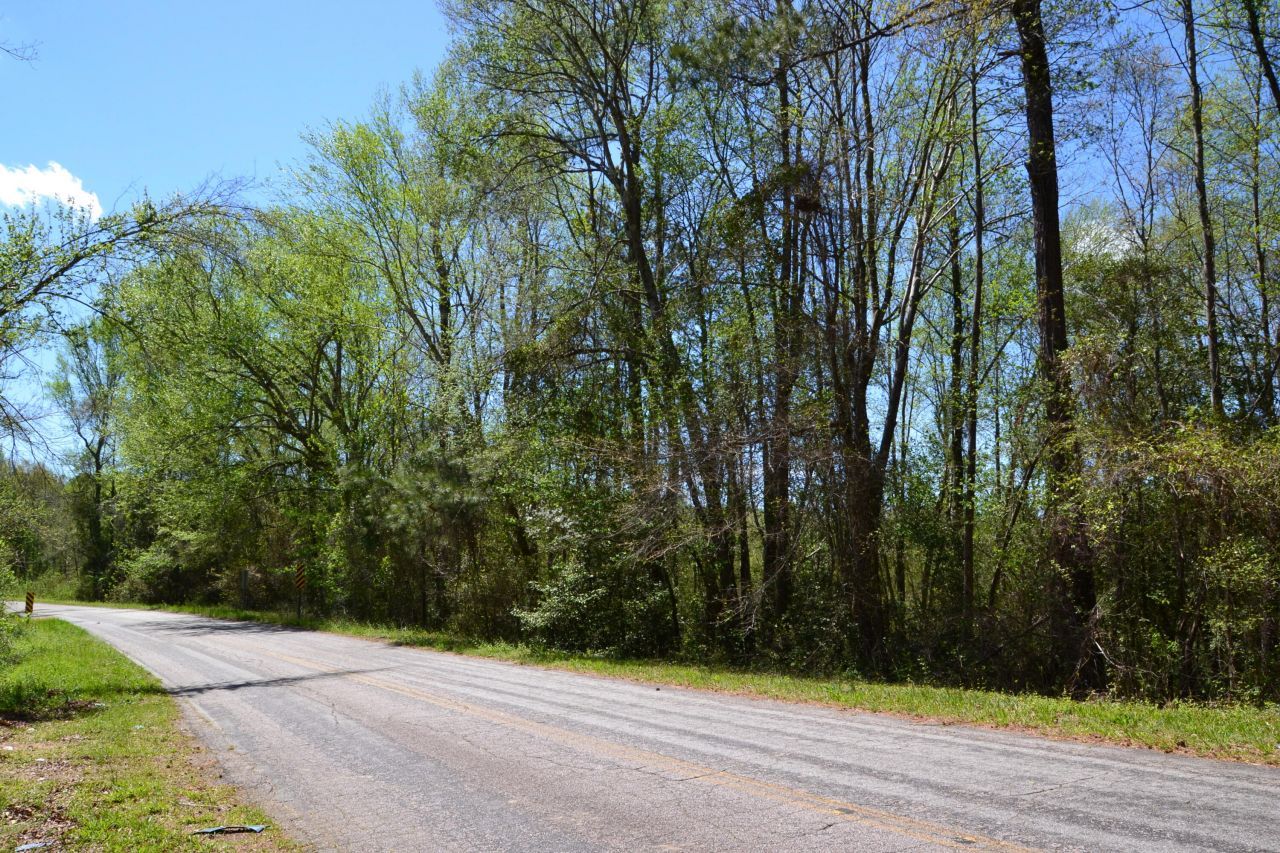 5659 State Rd S-28-31 Photo 9