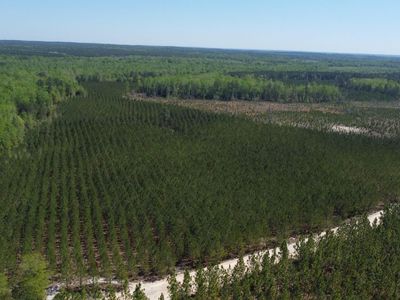 2919 Porter Rd, Cassatt, SC 29032