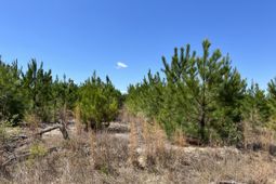 2919 Porter Rd photo 4