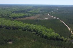 2919 Porter Rd photo 4