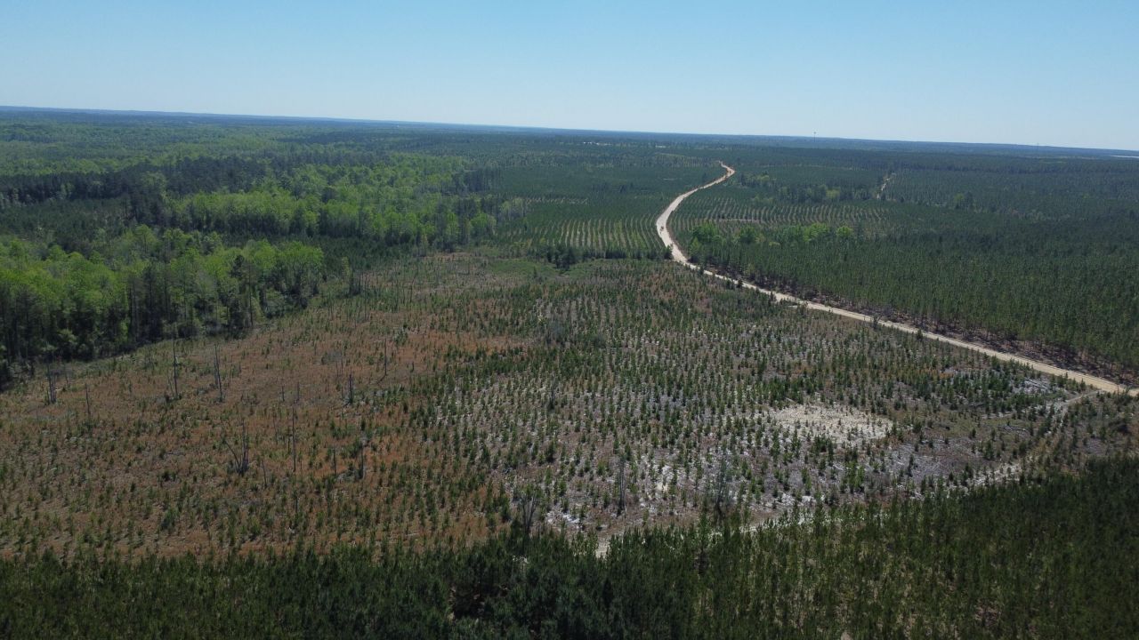 2919 Porter Rd Photo 4