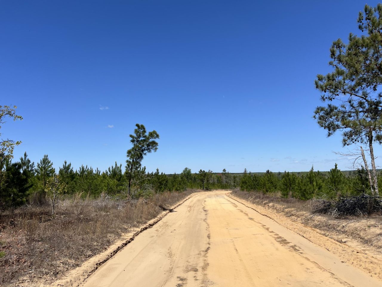 2919 Porter Rd Photo 5