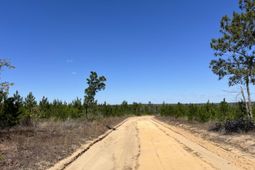 2919 Porter Rd photo 4