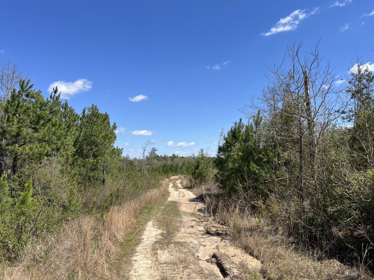 2919 Porter Rd Photo 6