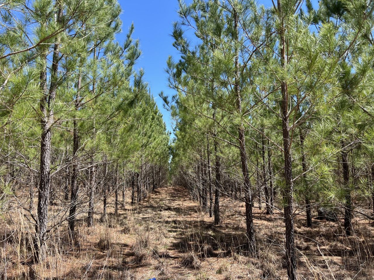 2919 Porter Rd Photo 7