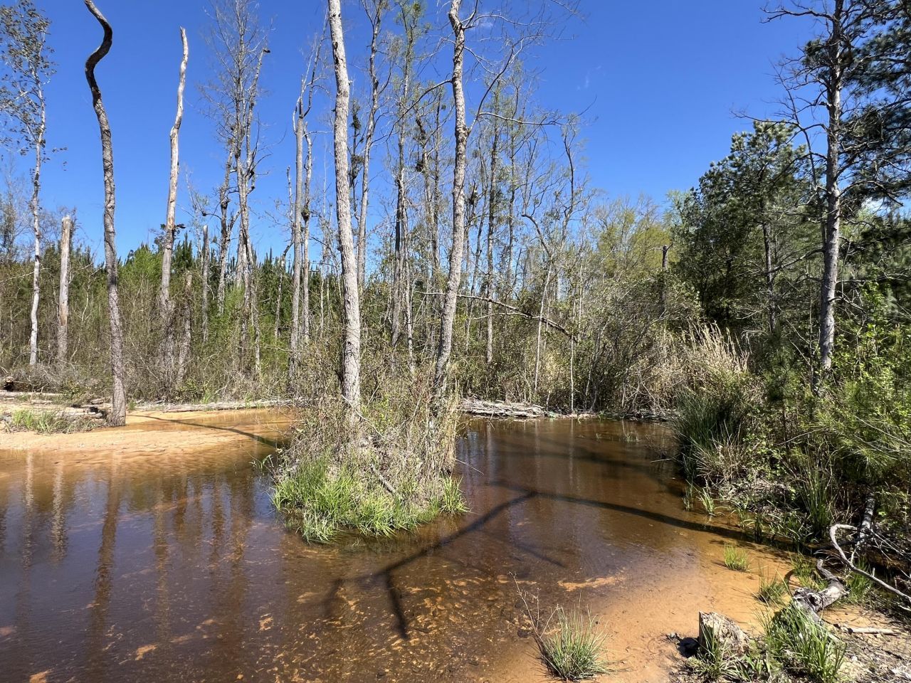 2919 Porter Rd Photo 8