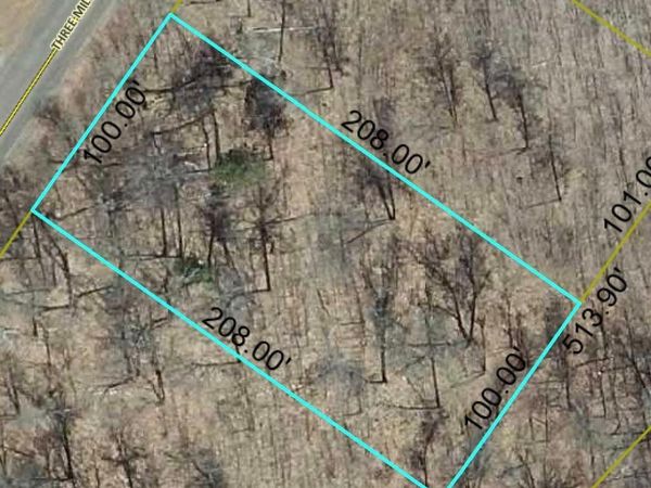 Lot 65 Three Mile Road, Danbury, WI 54830