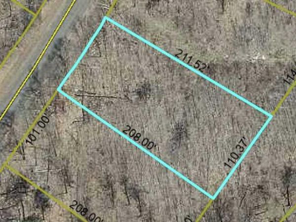 Lot 67 Three Mile Road, Danbury, WI 54830