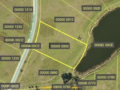 2121 Silk Bay Blvd, Alva, FL 33920 Photo